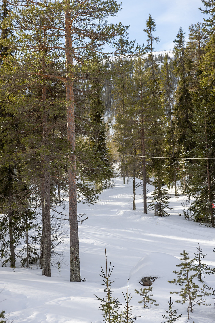 Röda byn 19:4 – bild 8