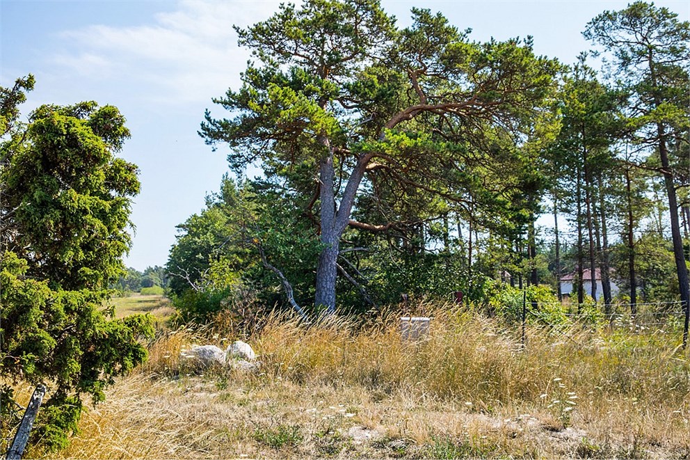 Fårö Broa 2033D