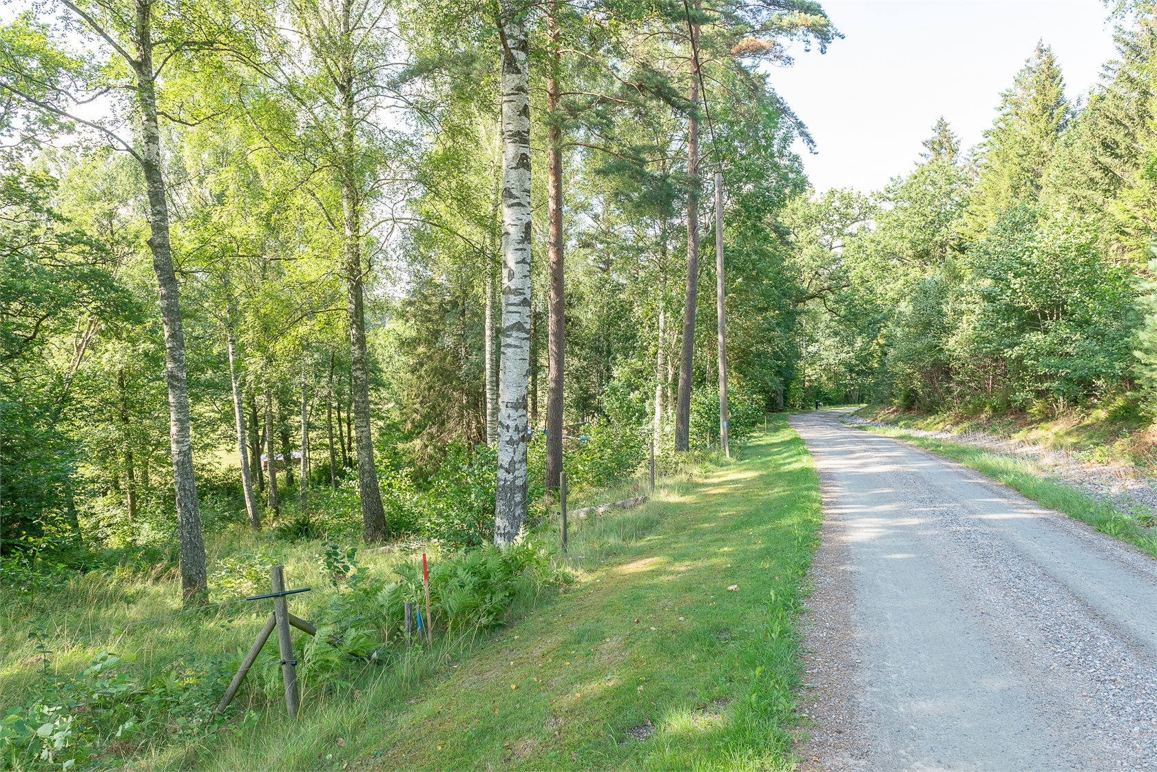Dirhuvud 348 – bild 6
