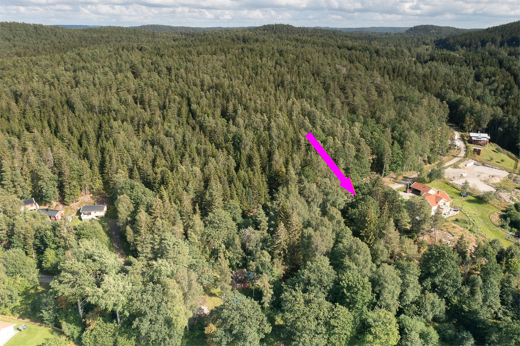 Dirhuvud 348 – bild 3