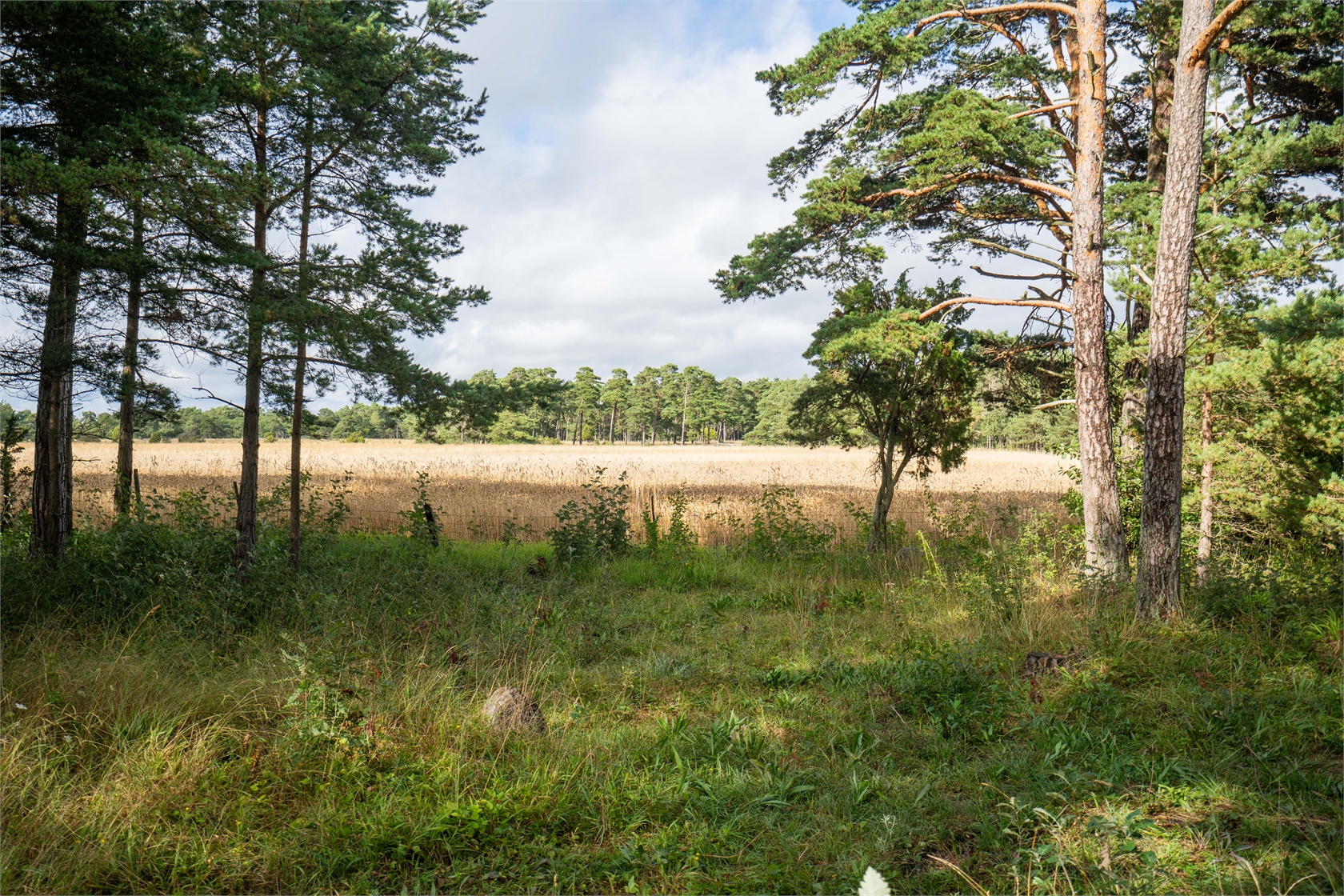 Bild 2 från Fastighetsbyrån