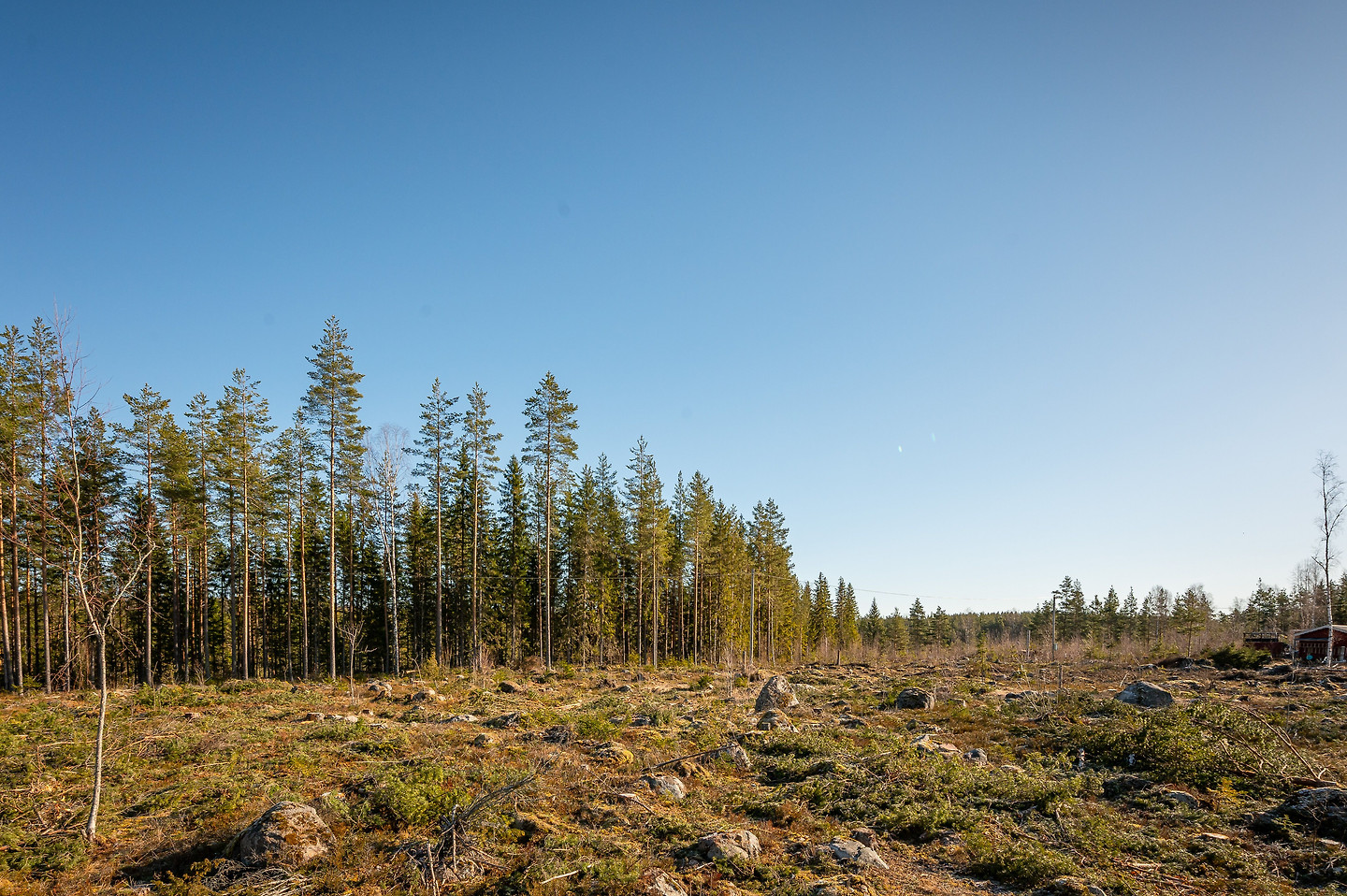 Hålldammsvägen – bild 2