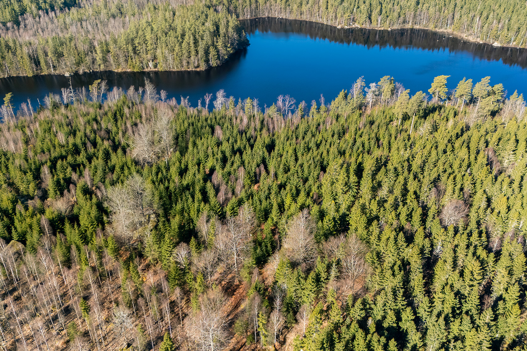 Bild 2 från Fastighetsbyrån