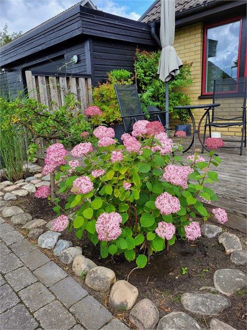 Säljarens bild