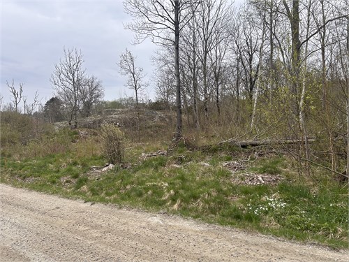 Hårleby 411