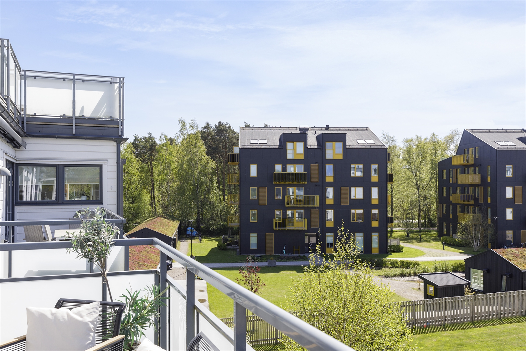 sön 8/11 – bild 15