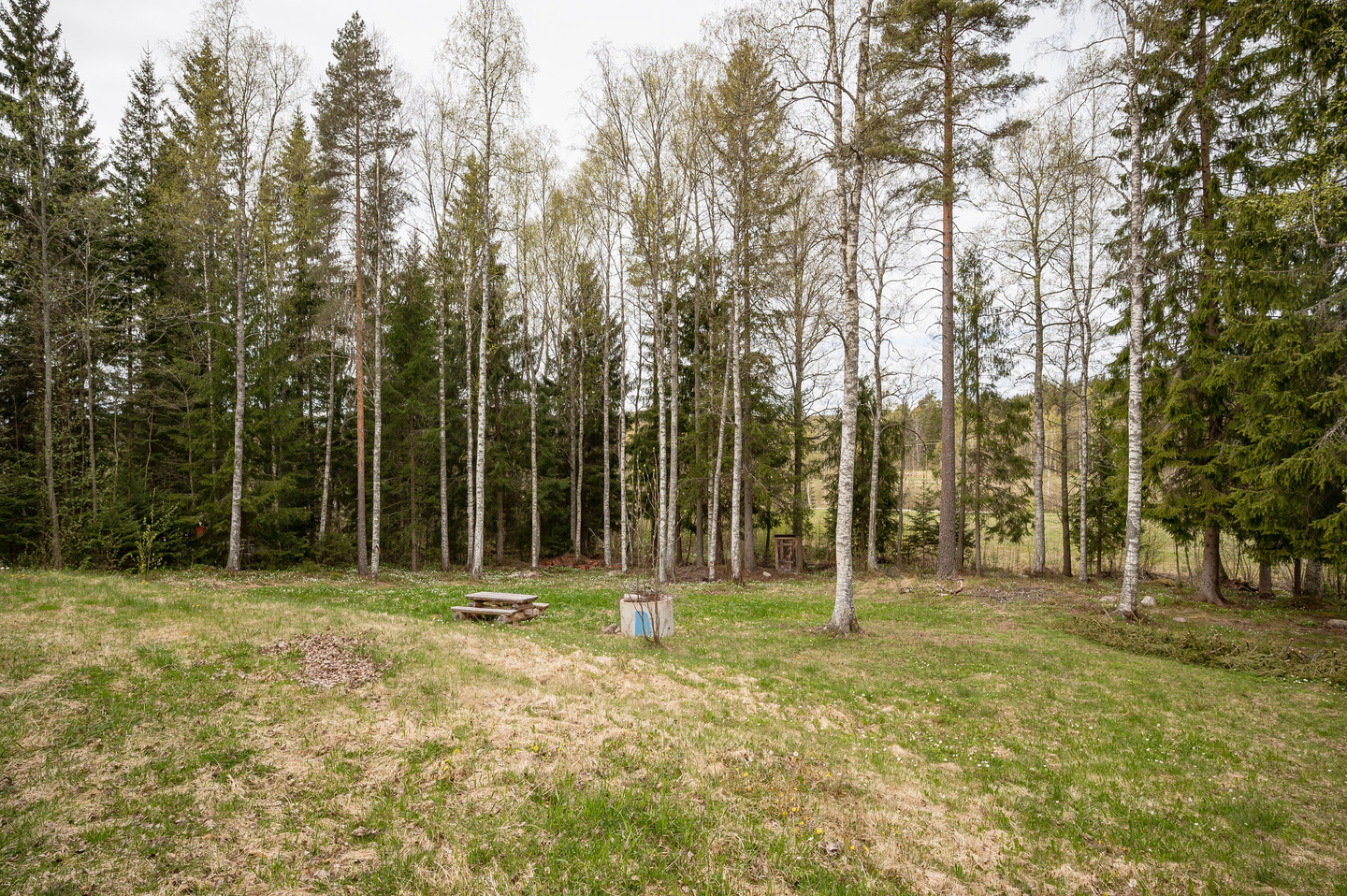 Vikhyttan 242 – bild 16