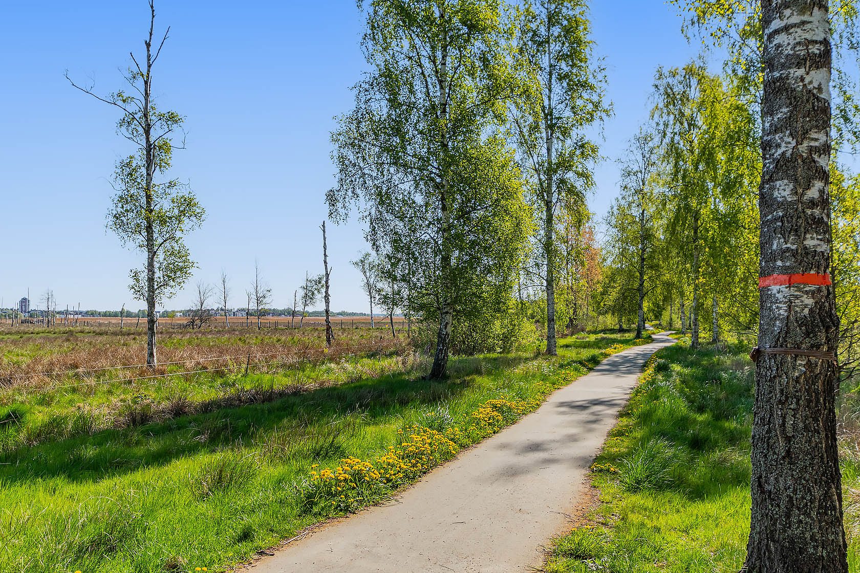 Strandparksvägen 7 C – bild 23