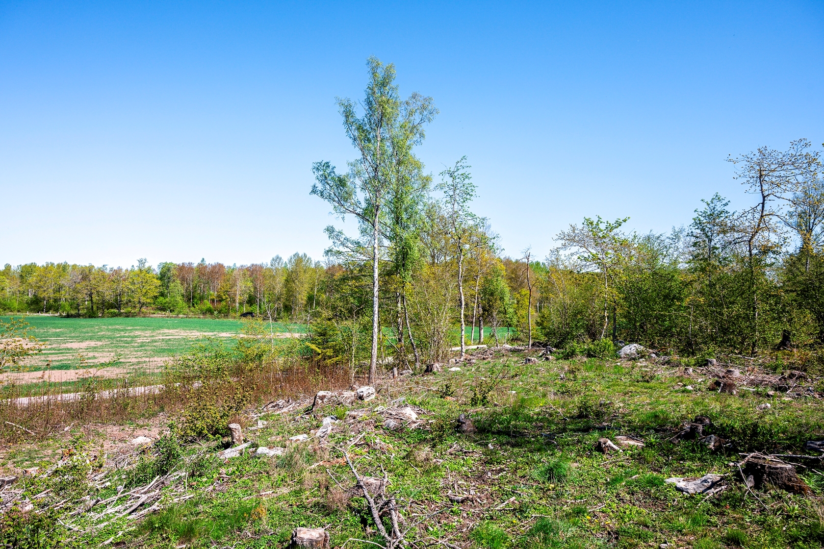 Vassunda-Örby (Tomt 1) – bild 17