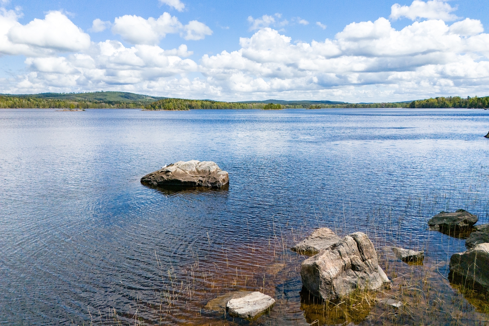 Hökviken – bild 2
