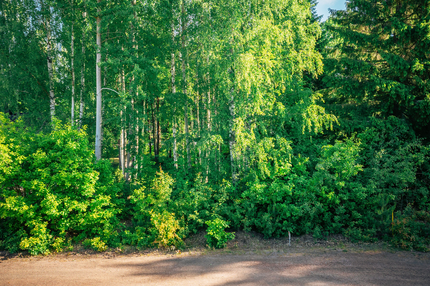 Hemmingstorp 537 – bild 5