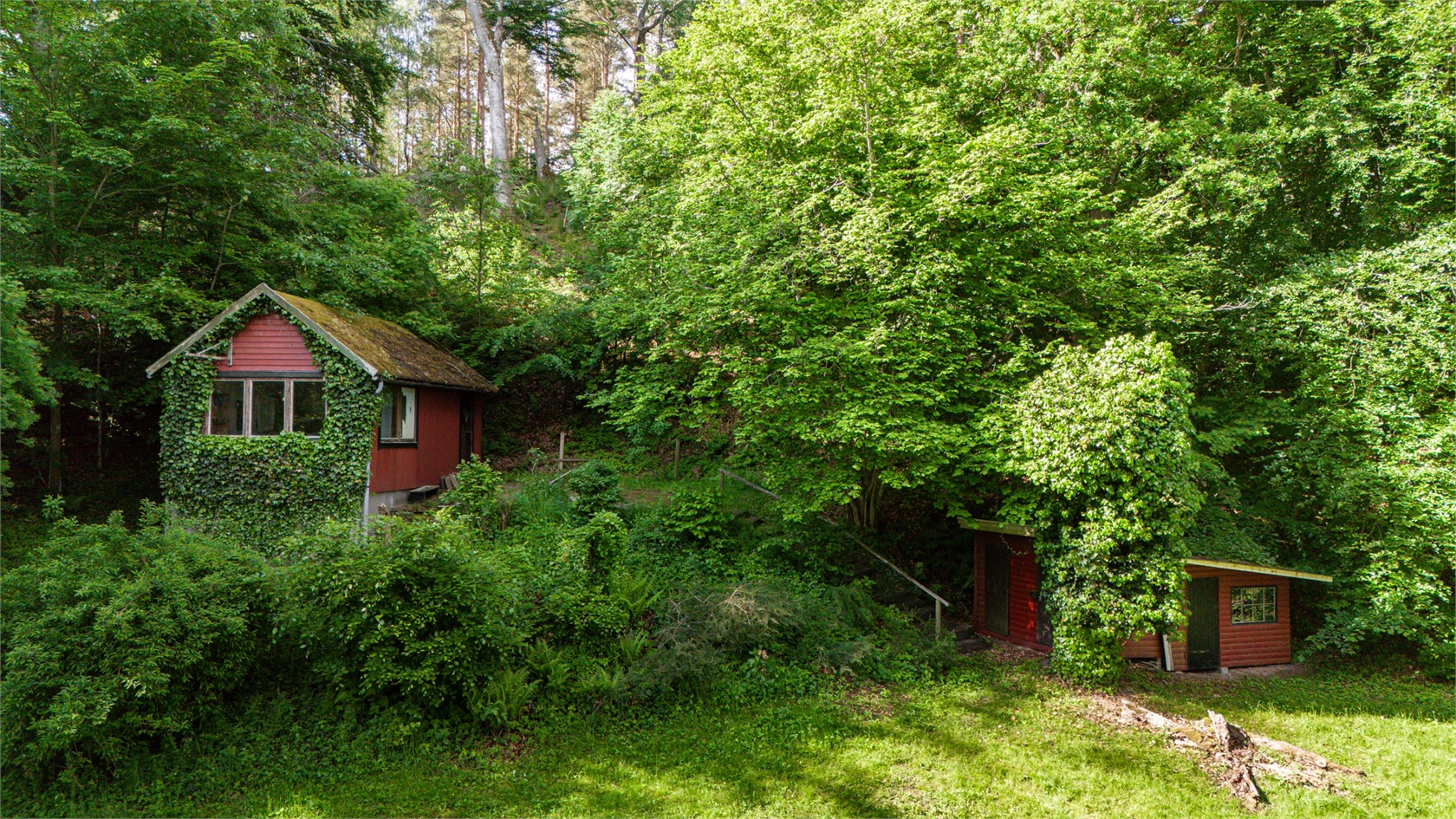 Äskebäskan 294 – bild 13