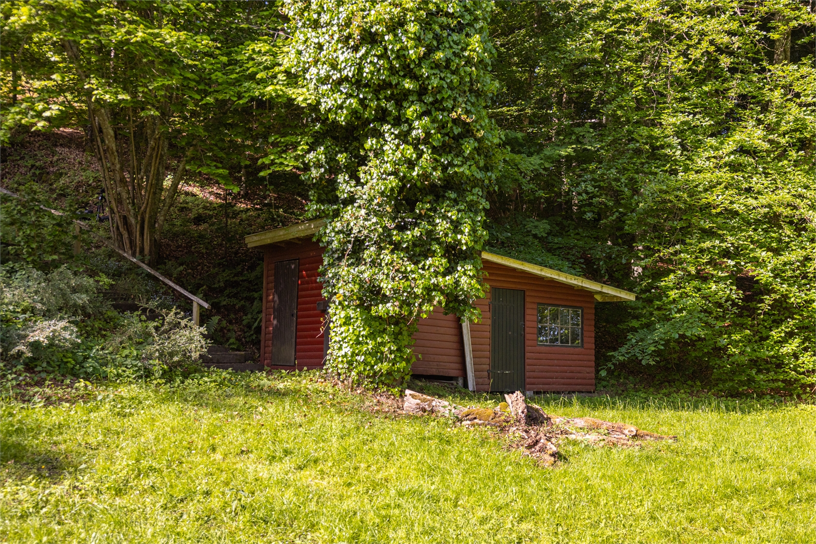 Äskebäskan 294 – bild 8