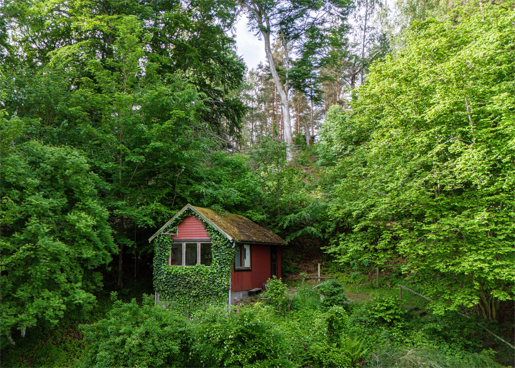 Äskebäskan 294 – bild 12