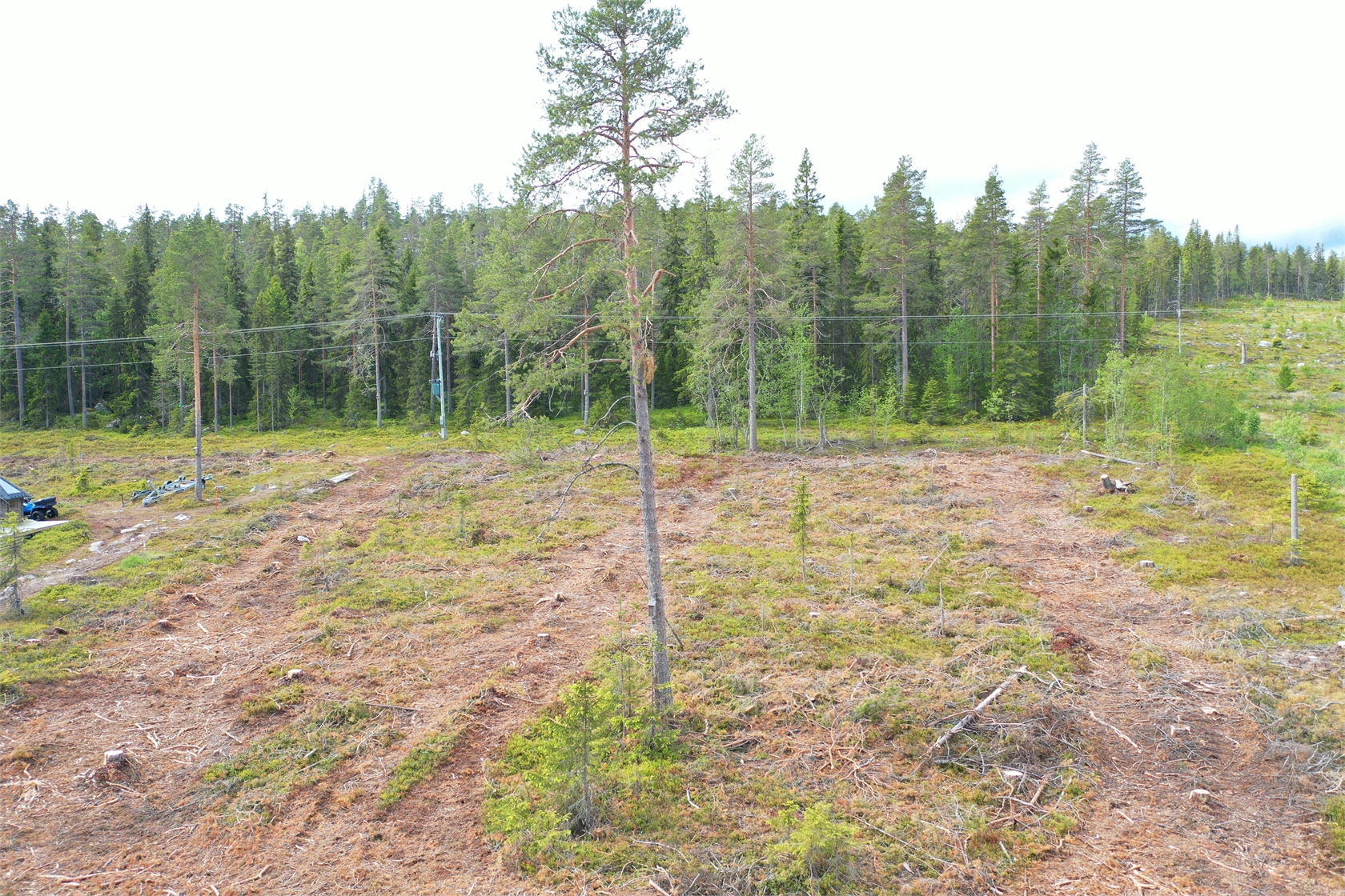 Bild 3 från Fastighetsbyrån