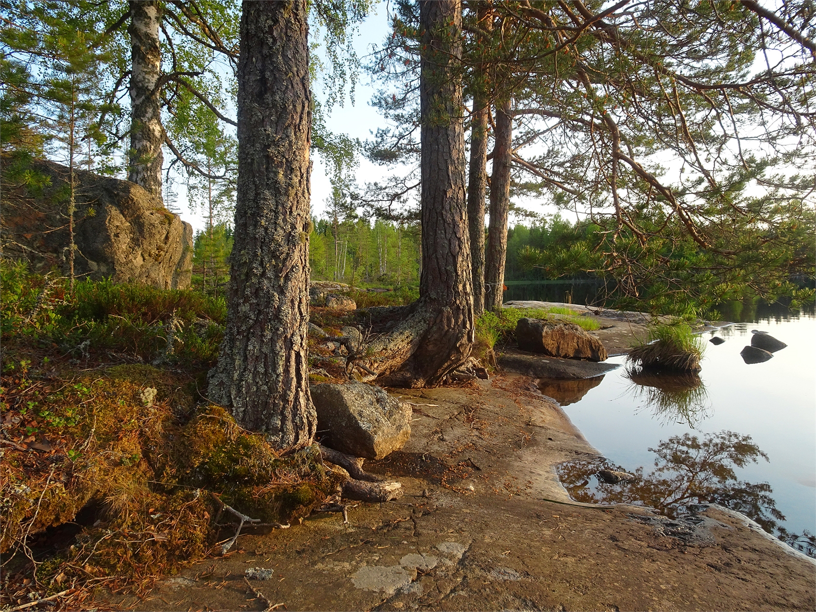 Finnfara 7544 – bild 5
