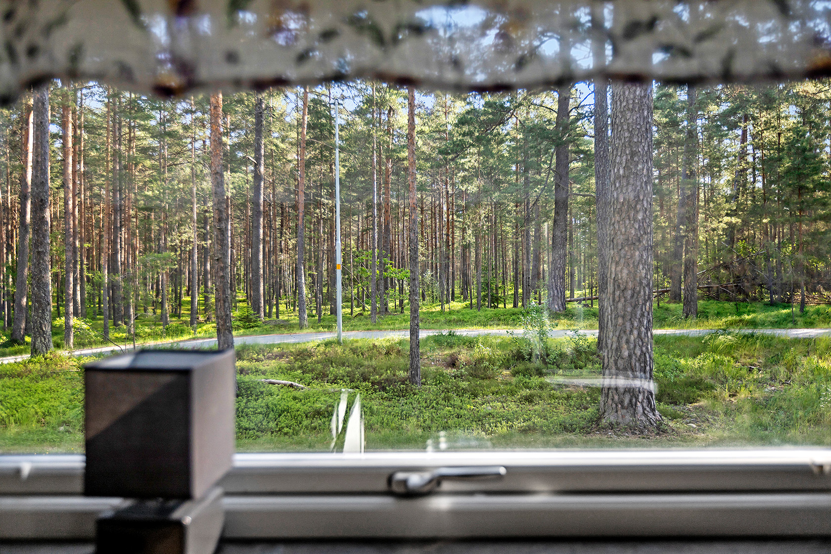 Sanatorieskogen 12 – bild 7