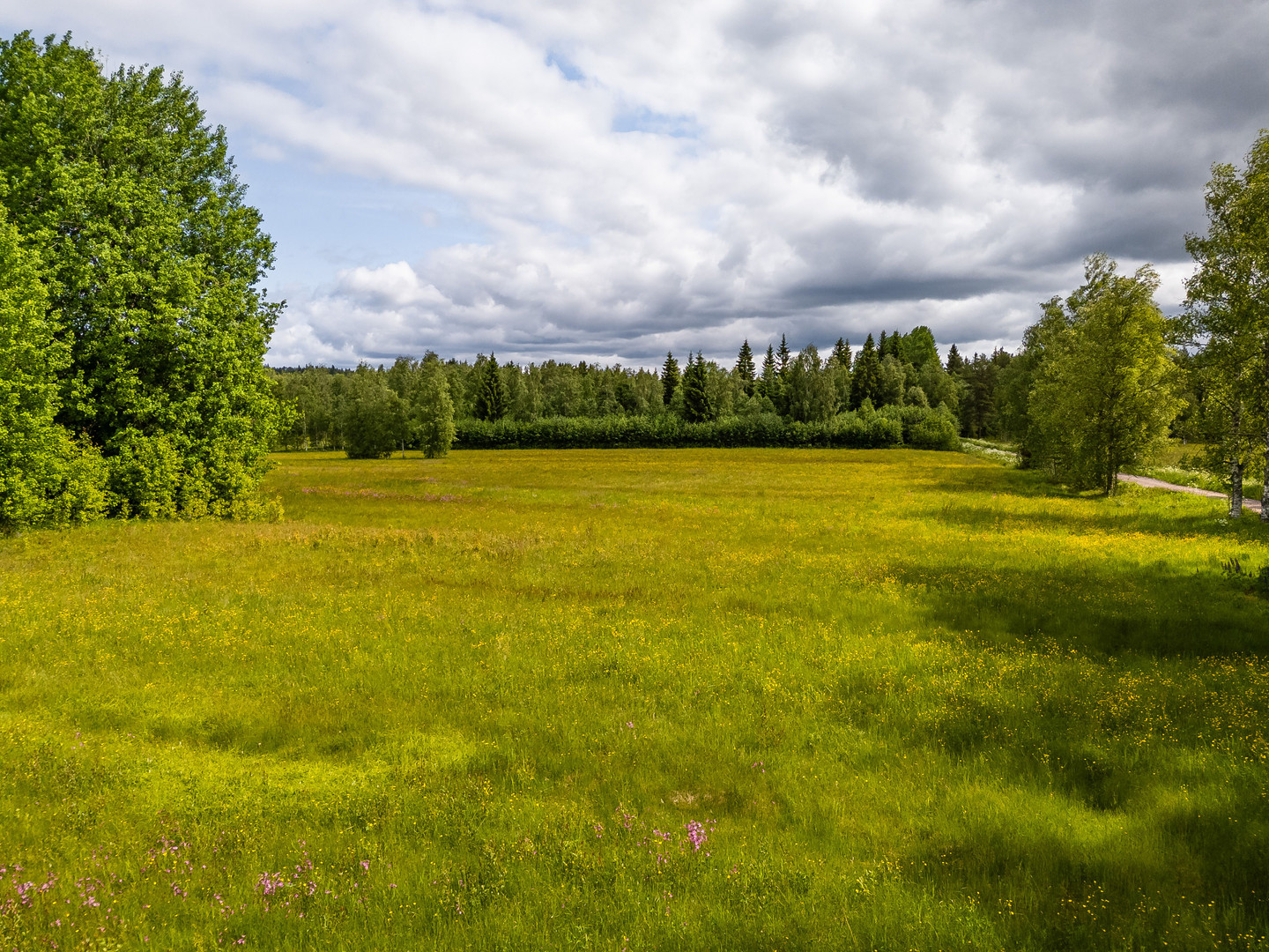 Tomt i Moje – bild 4