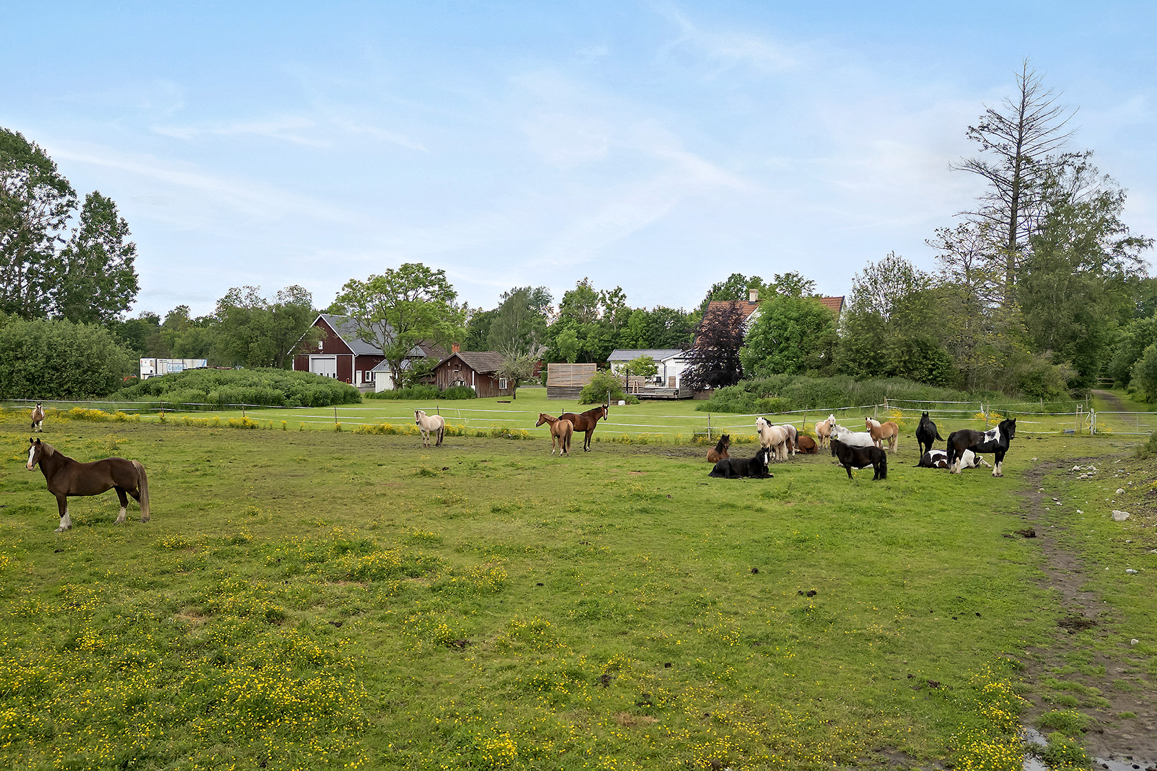Härminge 424 – bild 6