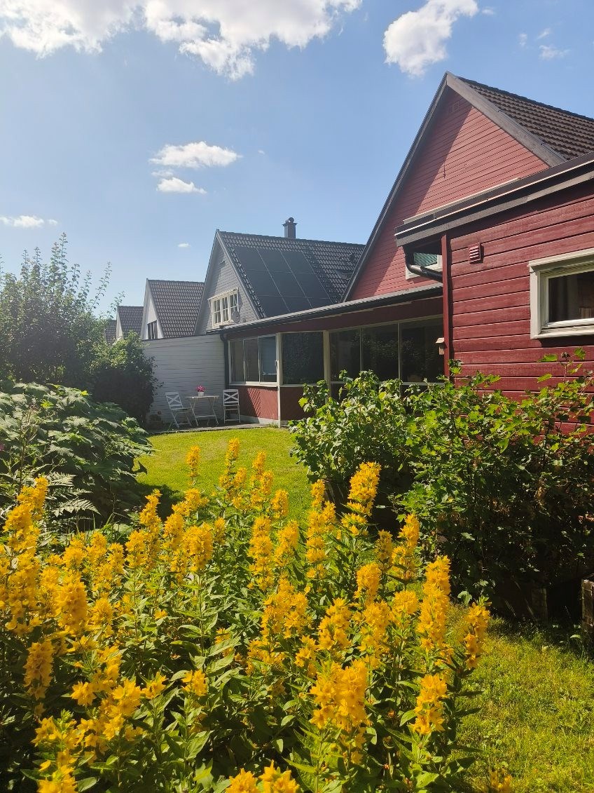 Säljarens bild