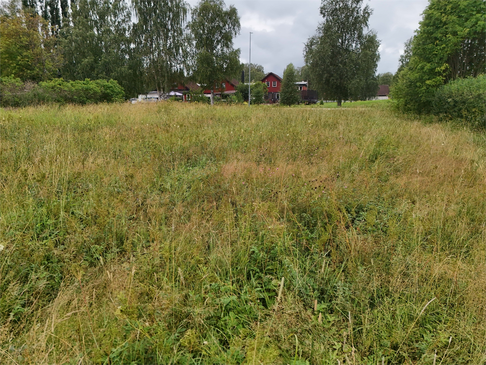 Bild 2 från Fastighetsbyrån