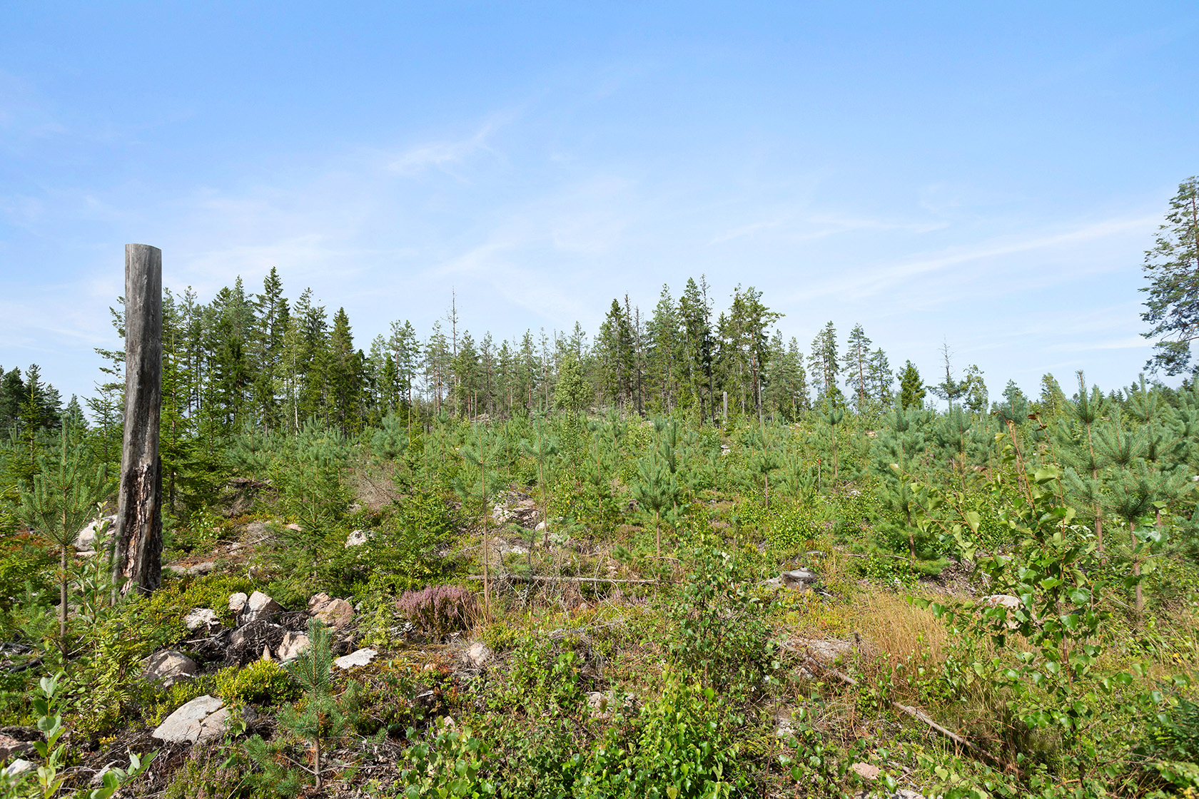 Tomt 2 vid Alebosjön – bild 4