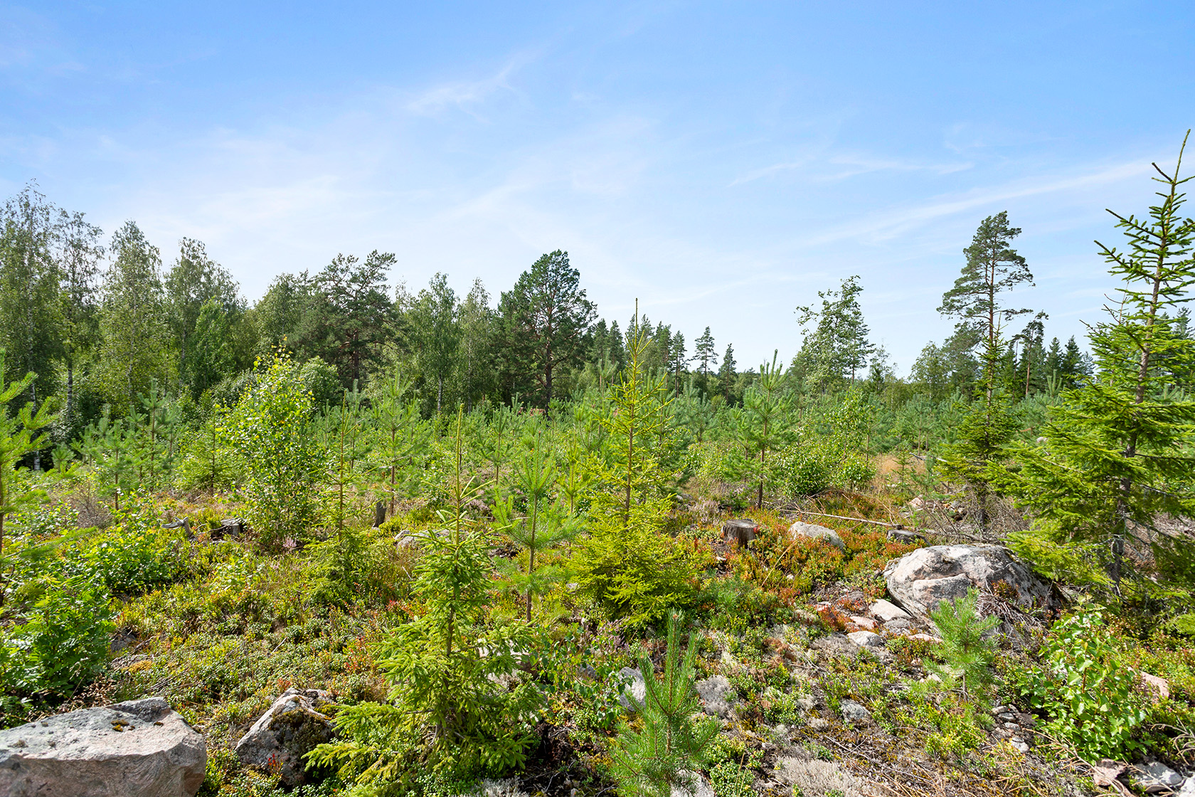 Tomt 2 vid Alebosjön – bild 6