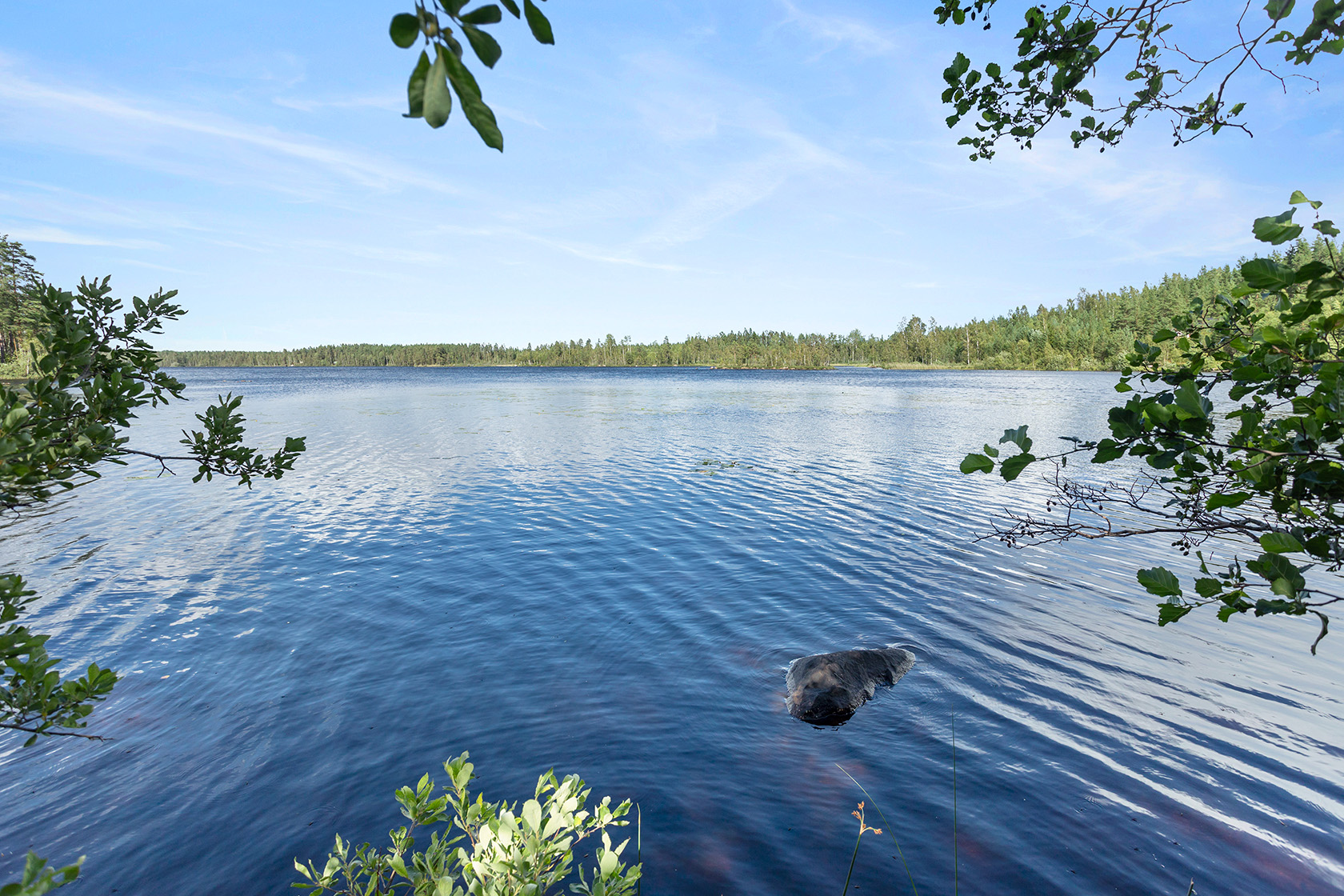 Tomt 2 vid Alebosjön – bild 8