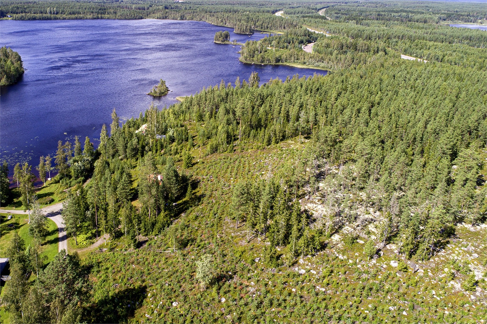Tomt 2 vid Alebosjön – bild 2