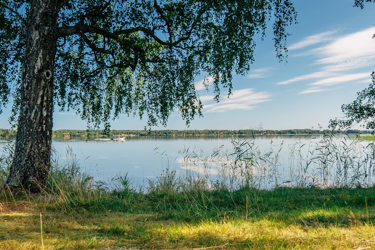 Runnäs Eken 1 – bild 12