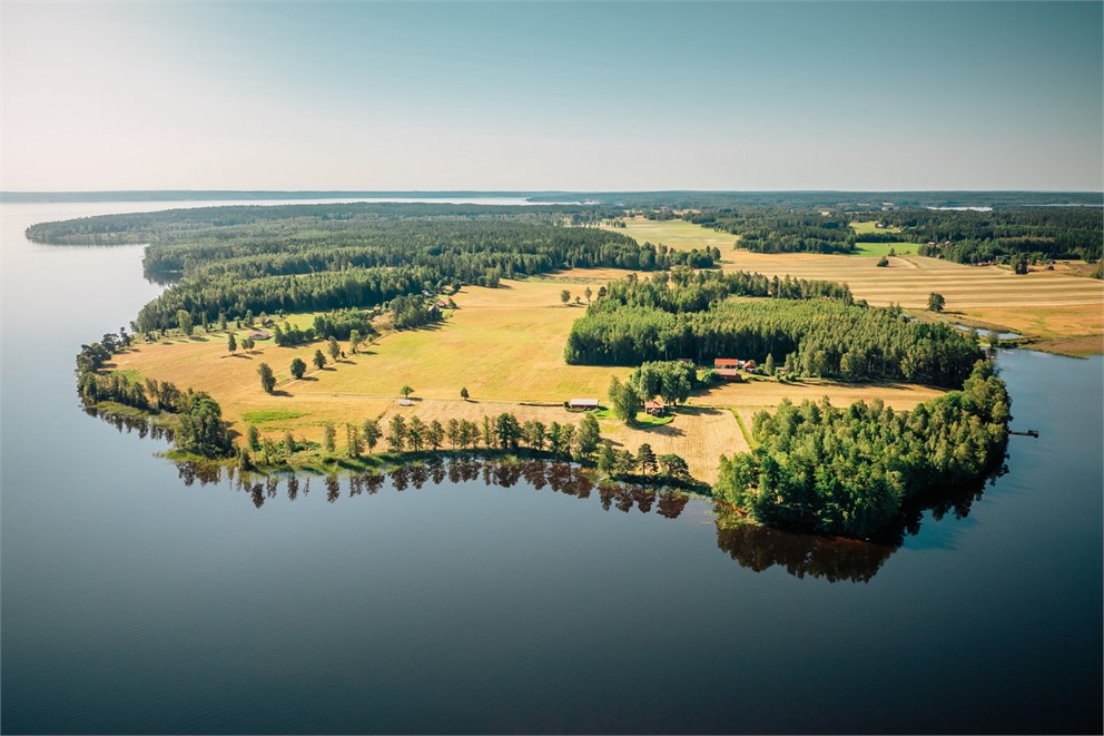 Runnäs Eken 1
