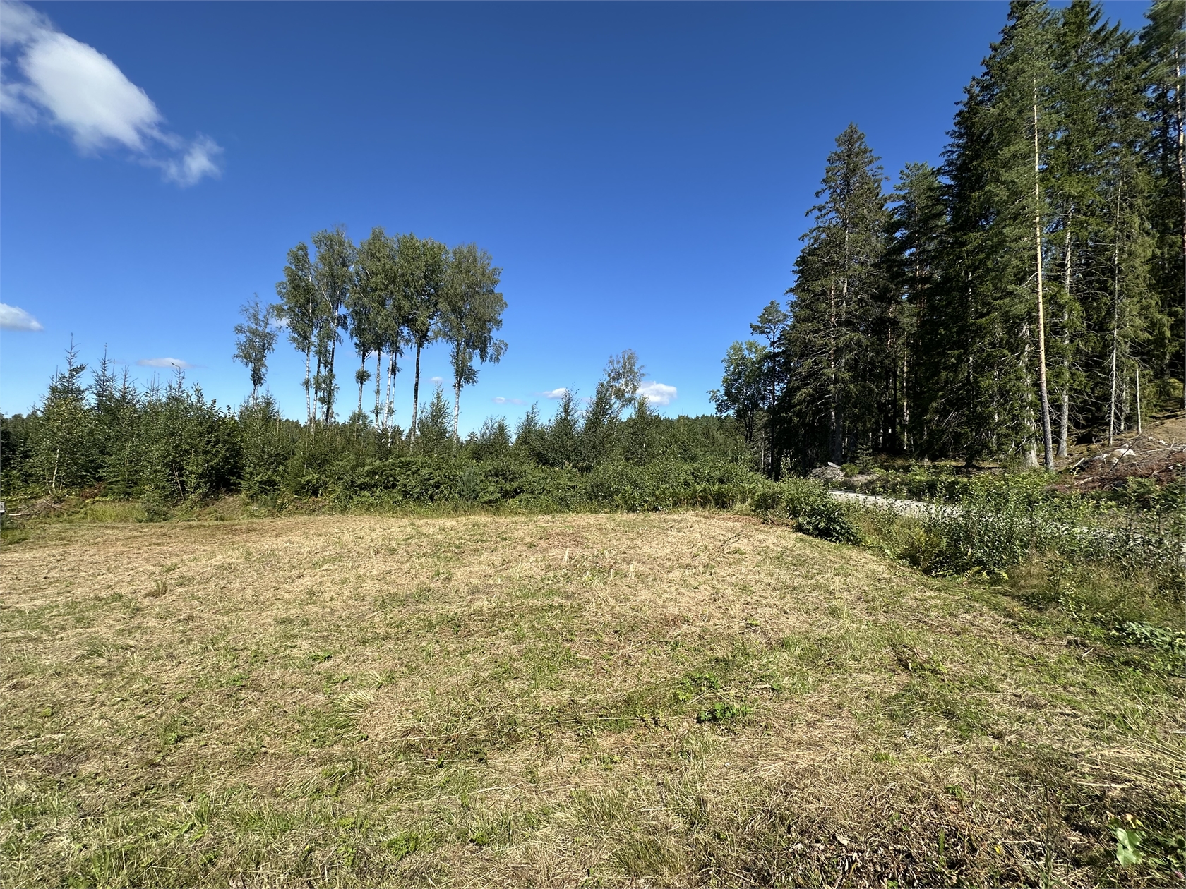Sanda – bild 3