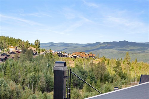Aspen 8