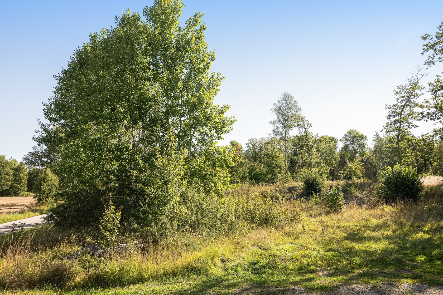 Vassunda-Örby (Tomt 1) – bild 4