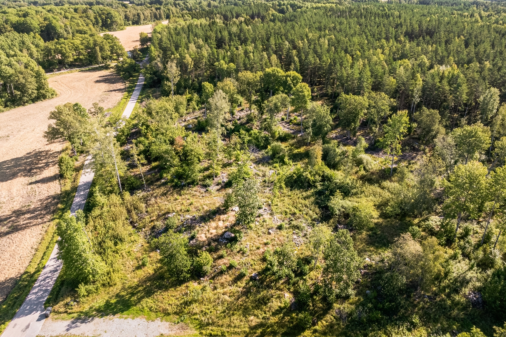 Vassunda-Örby (Tomt 1) – bild 2