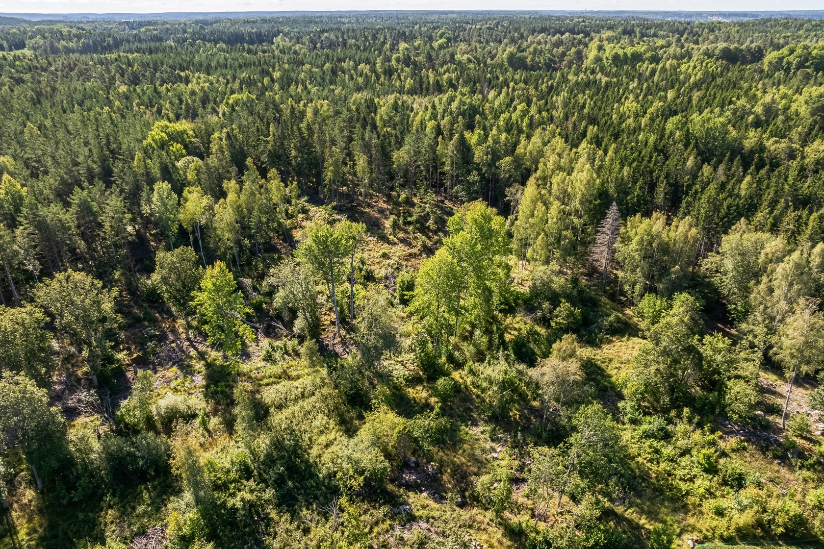 Vassunda-Örby (Tomt 1) – bild 12