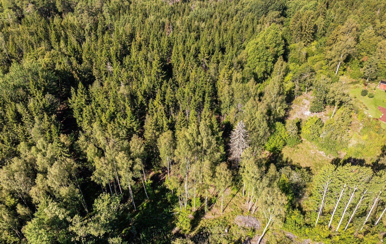 Vassunda-Örby (Tomt 1) – bild 10