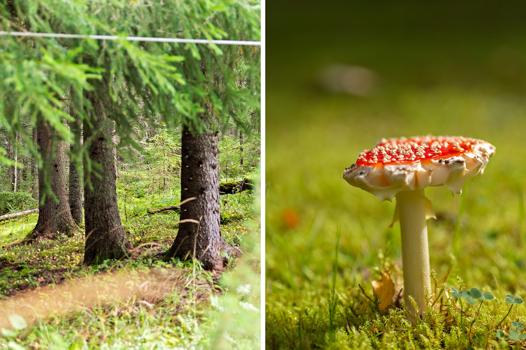 På gång – bild 32