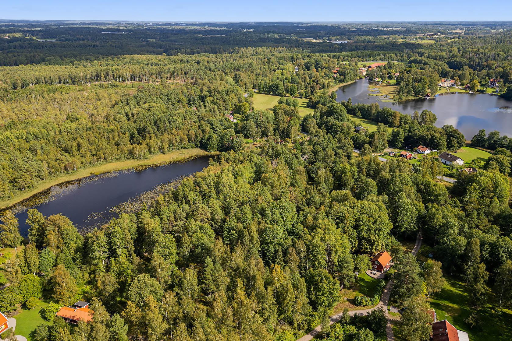 Forsa – bild 7