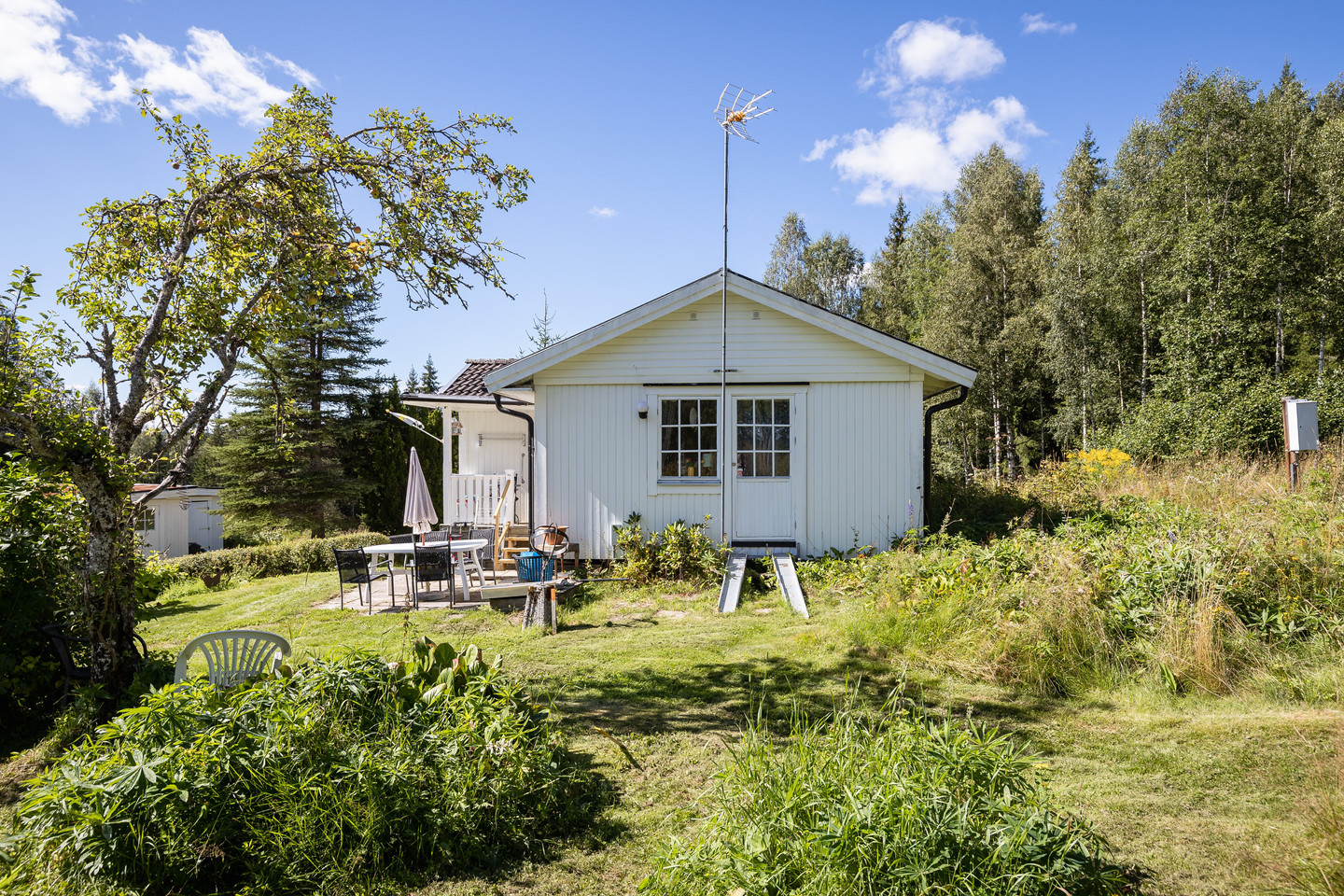 tors 1/10 – bild 4