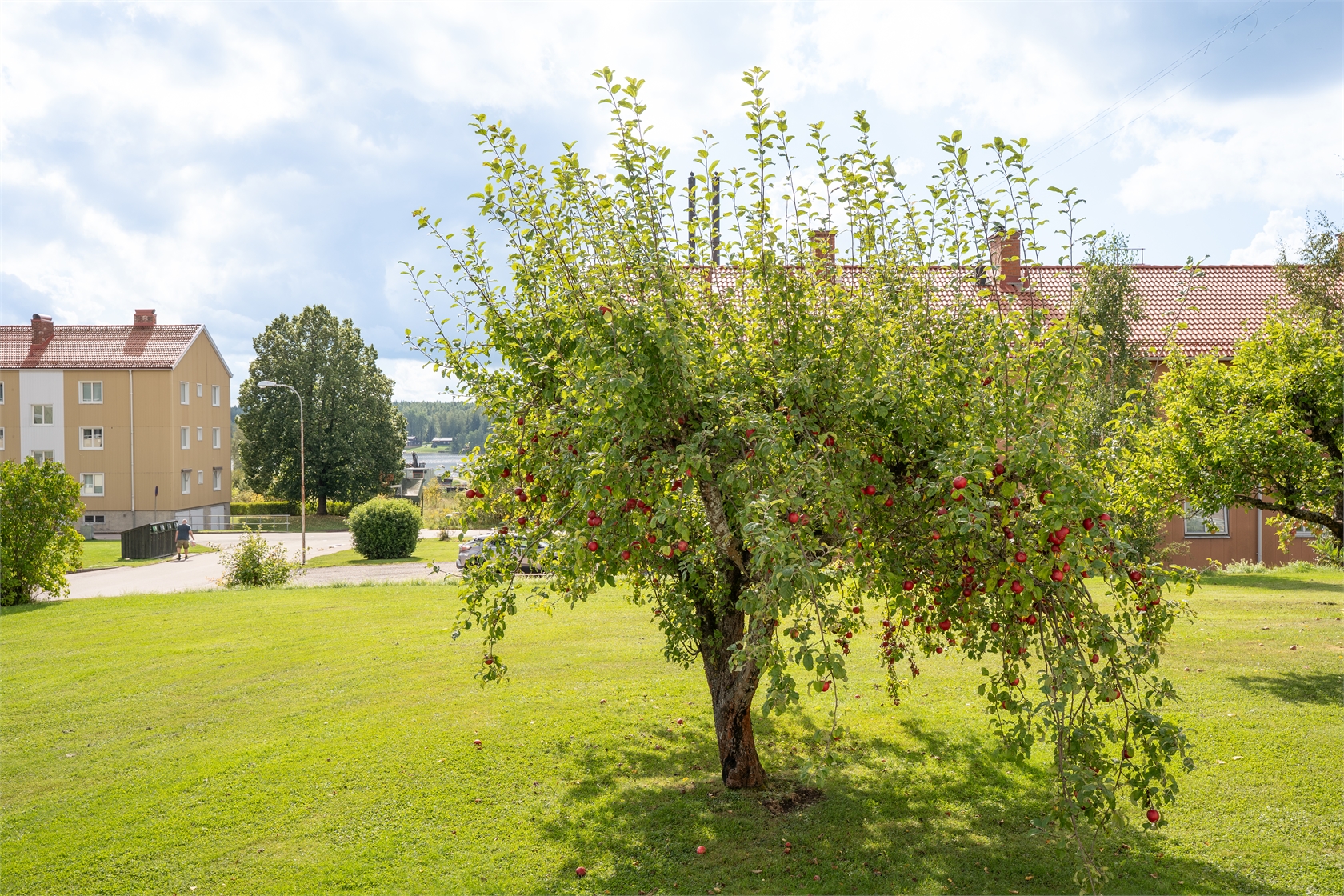 Lindvägen 4 B – bild 17
