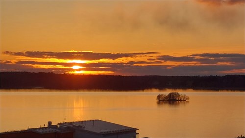 Säljarens bild
