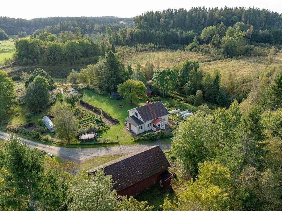 Järmunderöd 25