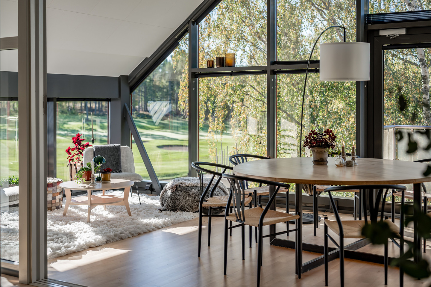 Stenberg 66B – bild 10