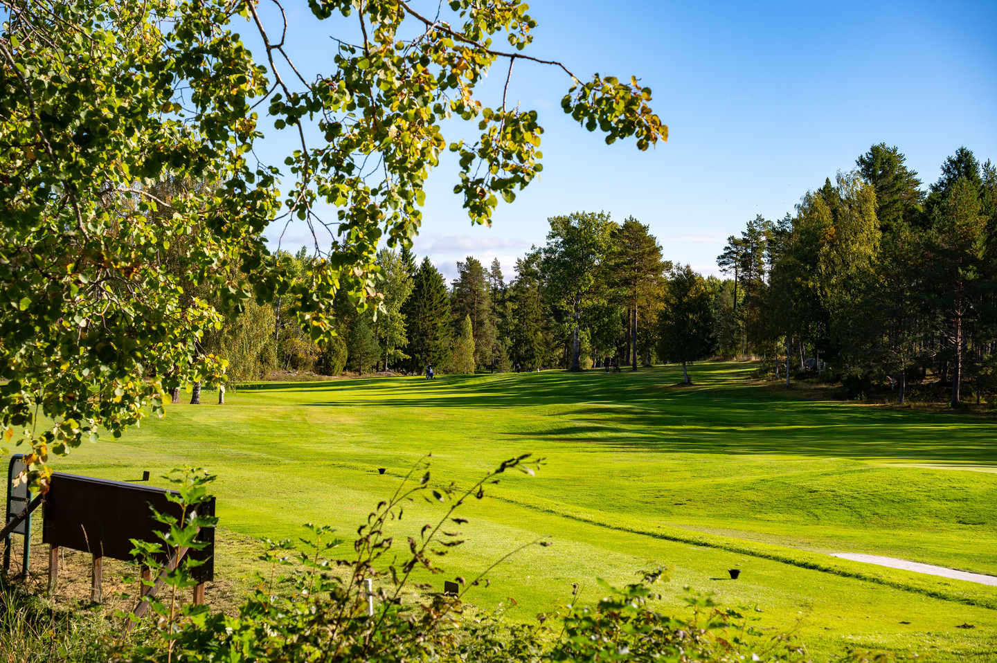 Stenberg 66B – bild 73