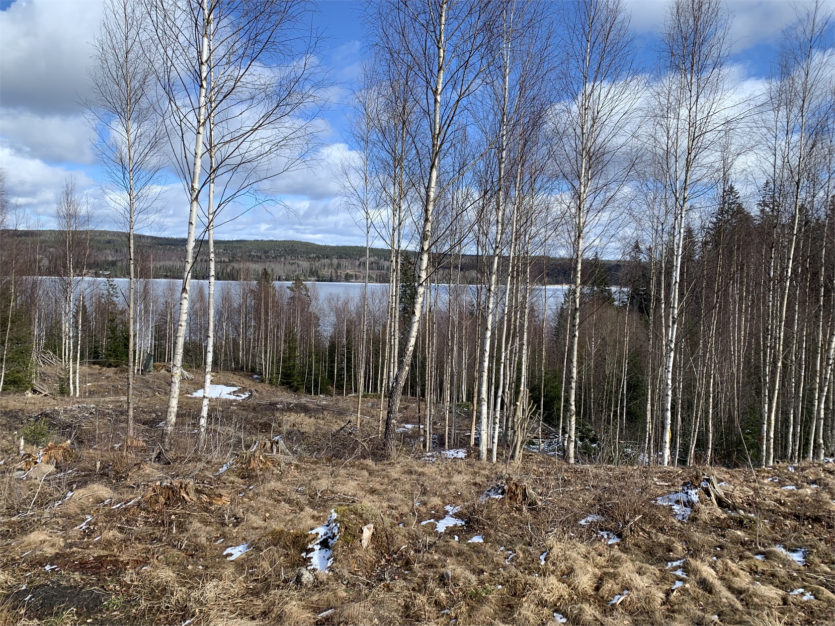 Snuggan 220 – bild 2