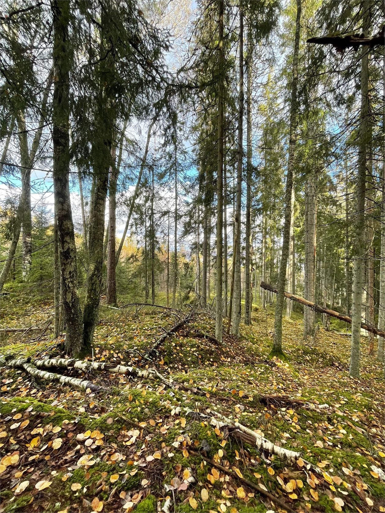 Snuggan 220 – bild 4