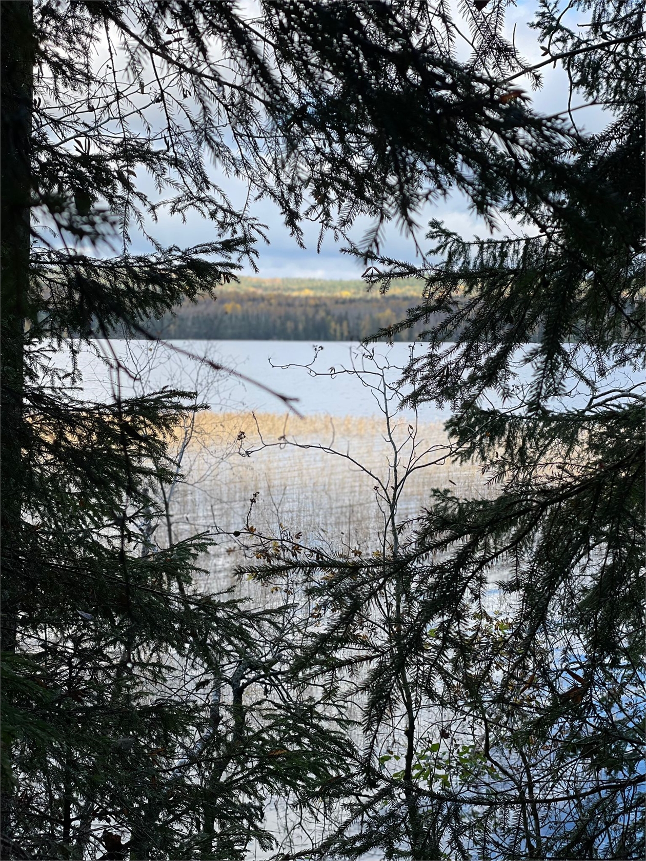Snuggan 220 – bild 3