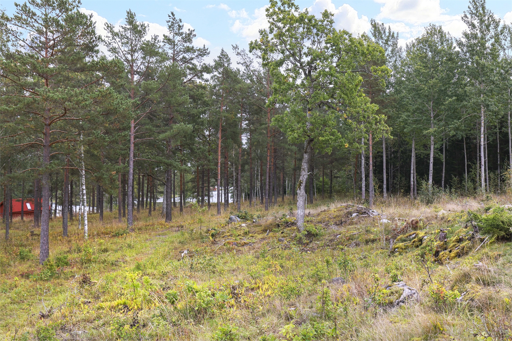 Raggarön 813 – bild 6