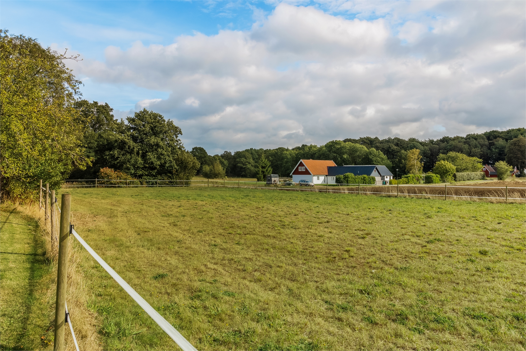 Bosarp 818 – bild 57
